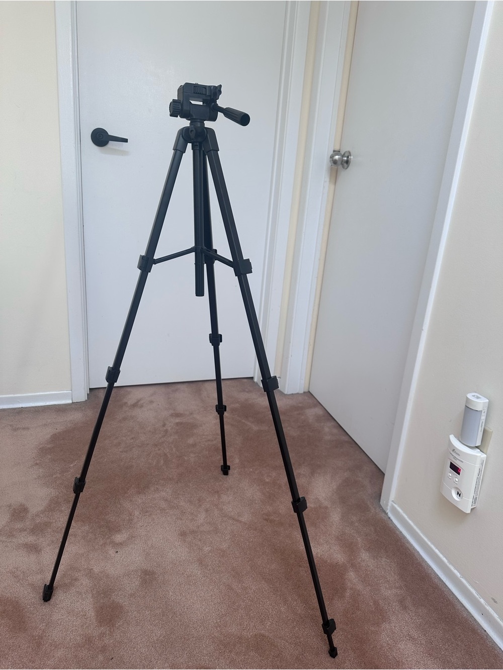 Sensyne FR64 64” Professional Camera Tripod with Carry Bag – New